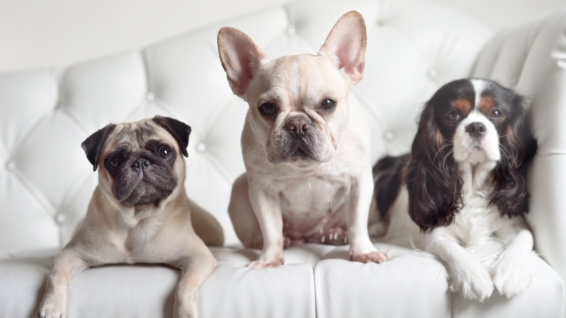 KAIYUN 中国大陆-中国青少年篮球联赛全国巡回，点燃全民运动热情，2021全国青少年篮球联赛