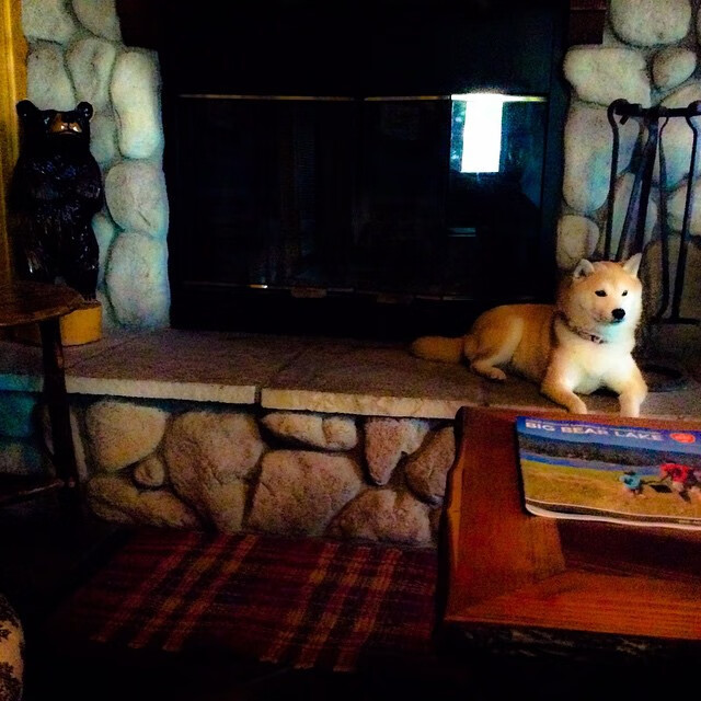 Kaiyun APP-历史瞬间：NBA史上最经典的比赛片段，nba历史100大精彩瞬间