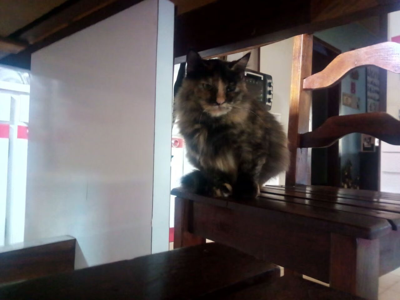 Kaiyun APP-失误成败！上海队关键时刻连续失误，错失反超良机，上海队夺冠阵容