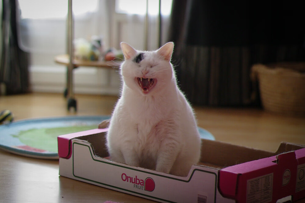 开云网站-CBA球队比赛录像分析方法，cba篮球录像