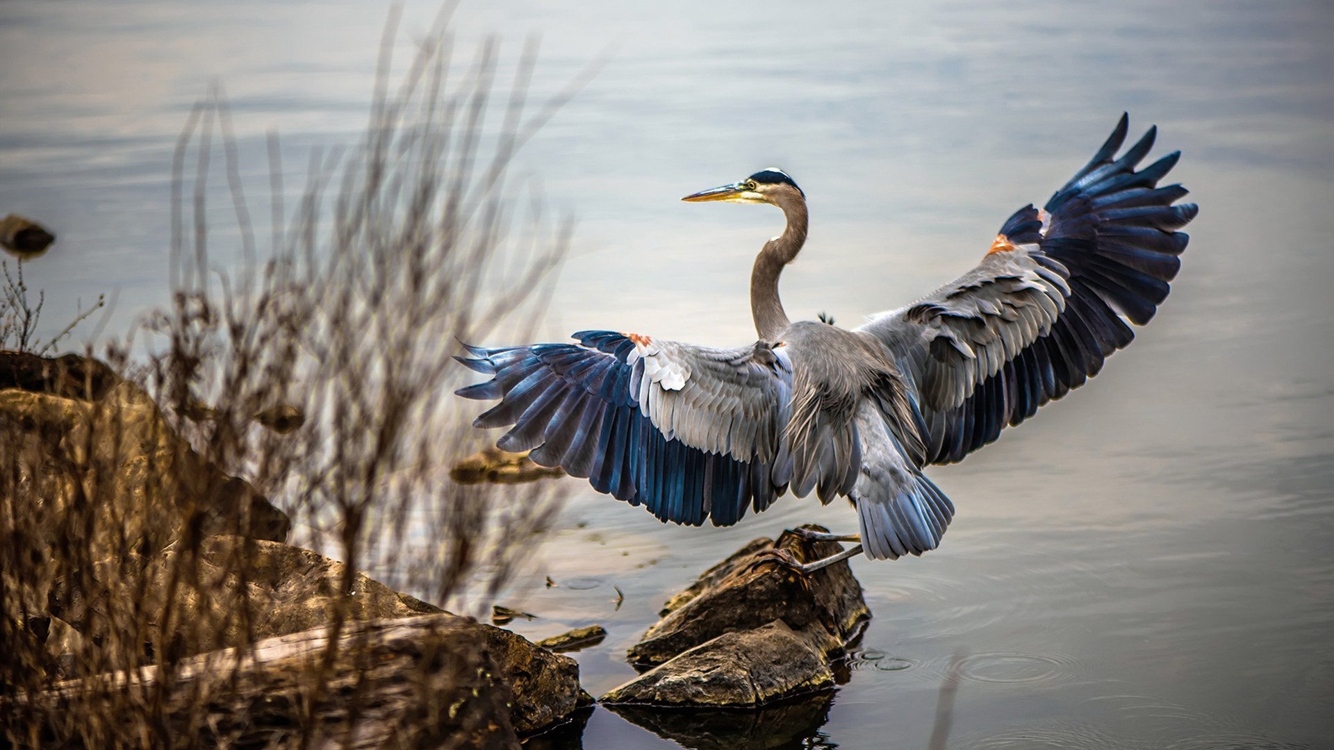 开云官方网站-巴萨豪取客场胜利，晋级前途一片晴朗，巴萨精彩比赛