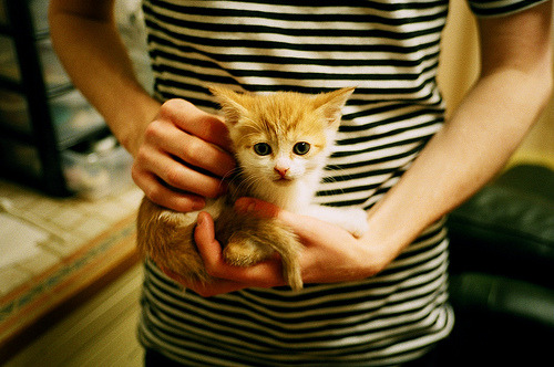 开云入口-拜仁慕尼黑主场2-1战胜勒沃库森，继续领跑德甲，拜仁慕尼黑主场2-1战胜勒沃库森,继续领跑德甲联赛