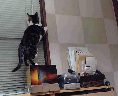 拜仁慕尼黑客场3-1战胜云达不莱梅,豪取四连胜,拜仁慕尼黑4231