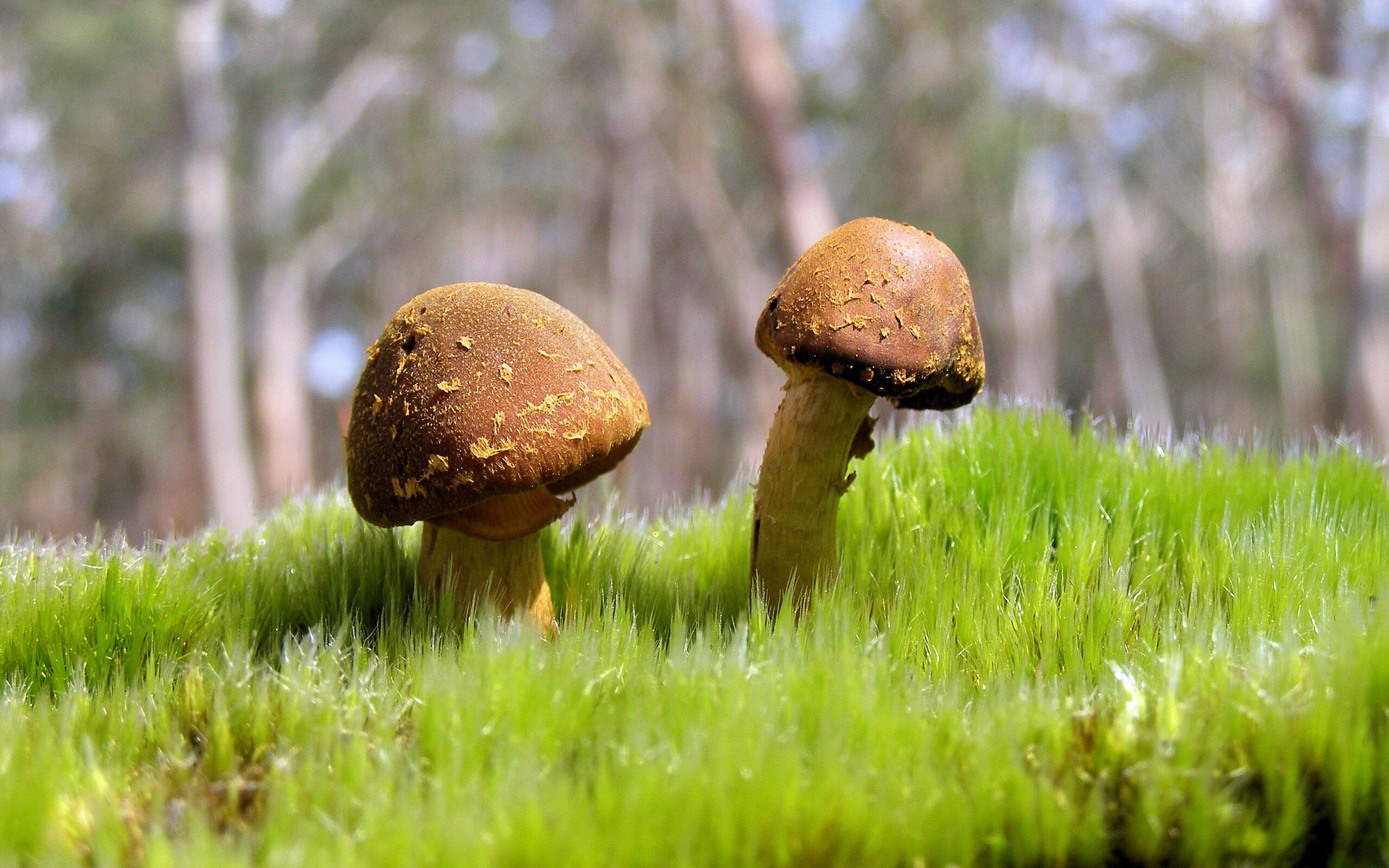 kaiyun体育综合-热刺客场失利，英超积分榜排名下滑，英超冠军热刺