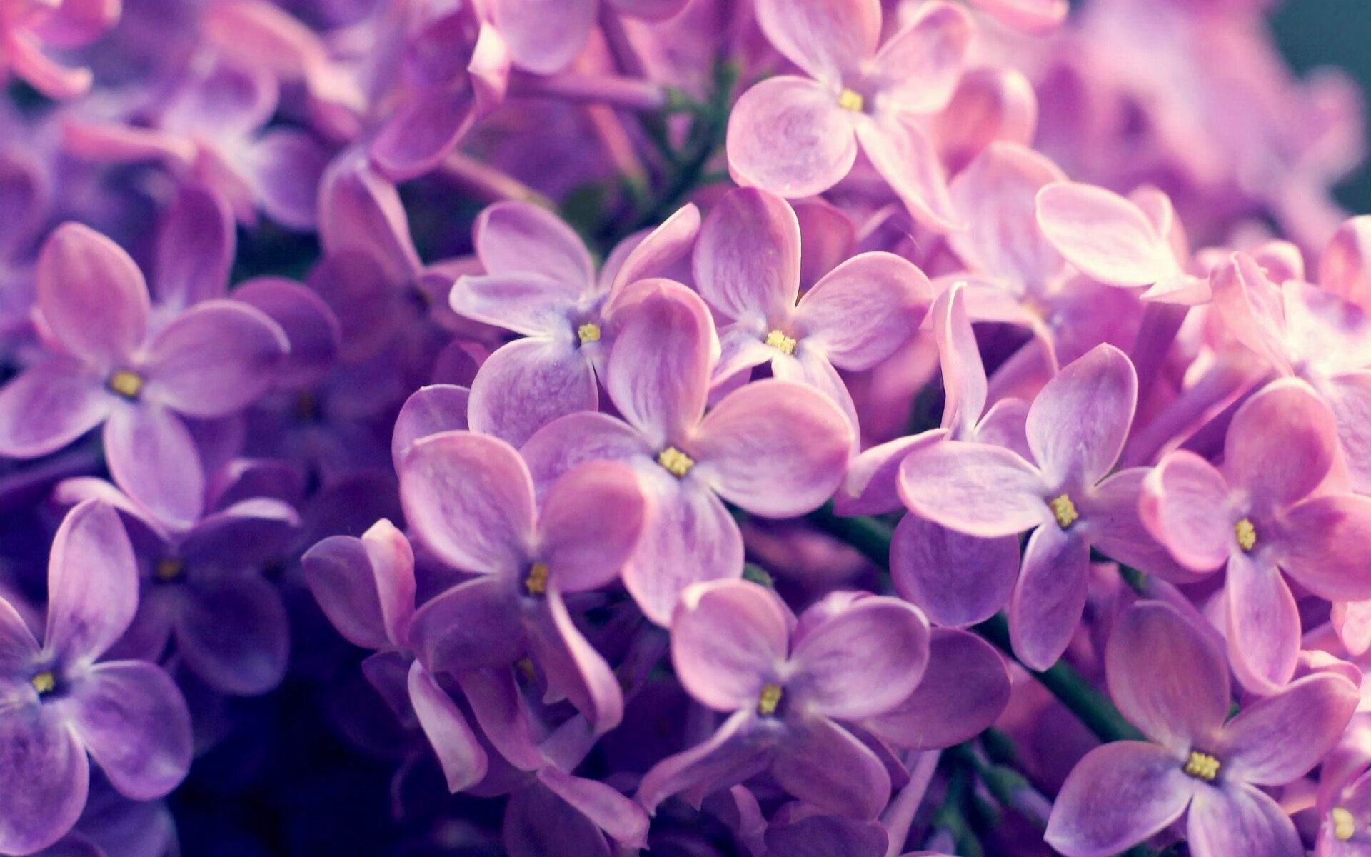 激烈较量在即,球迷们期待双方大比拼,球员们的比拼很热烈,赢得了观众的阵阵喝彩