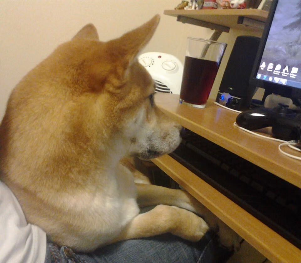 开云网页版登录入口-皇马门将神勇扑救，连续多次化险为夷，皇马门将神勇扑救,连续多次化险为夷的原因