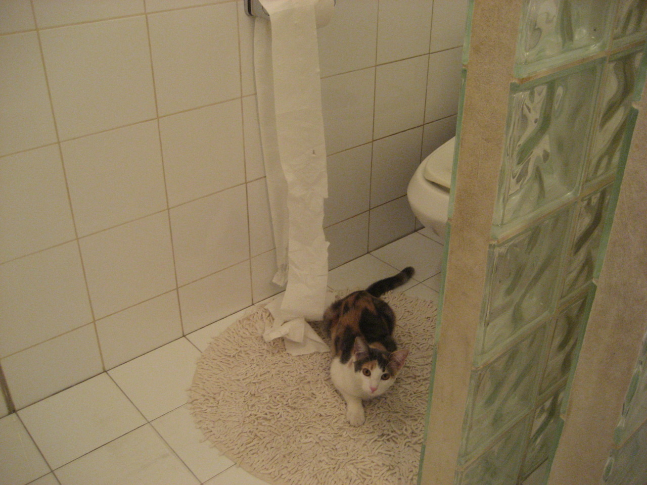 皇马门将神勇,多次扑救力保士气高昂,皇马队门将