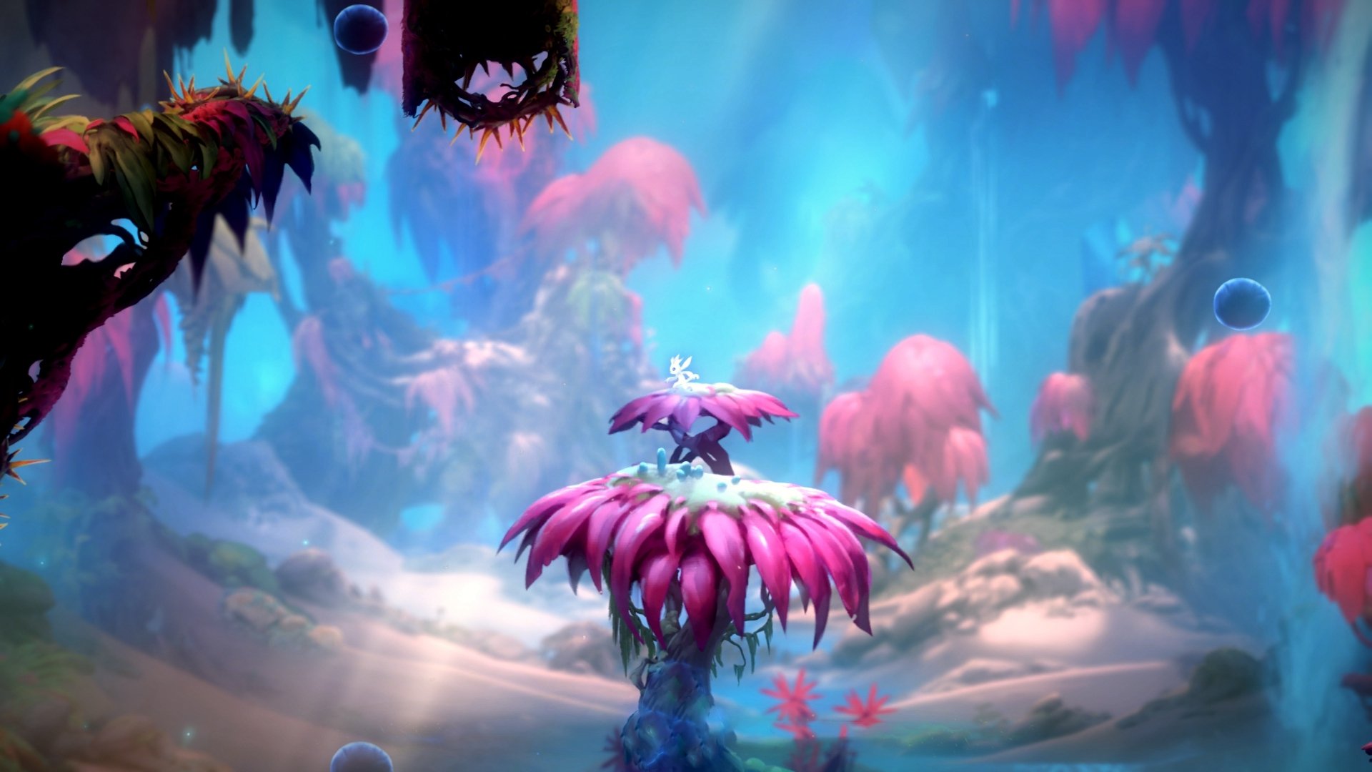 开云·Kaiyun网页版-国足主帅临场调度风格分类与成功率统计，国足主帅人选最新消息