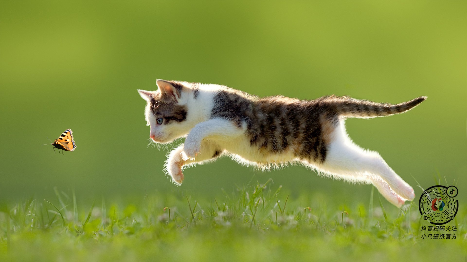 校园田径赛事组织流程标准化建设,校园田径赛事组织流程标准化建设方案