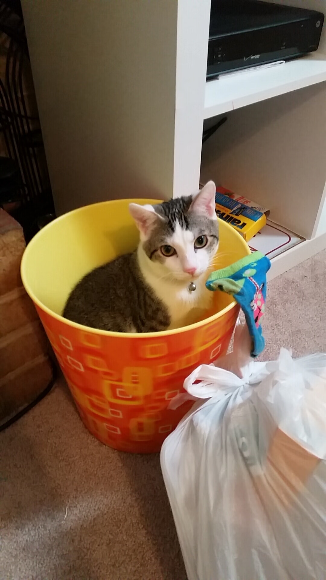 英超球队体能监控技术助力赛季中期负荷平衡,英超 manager