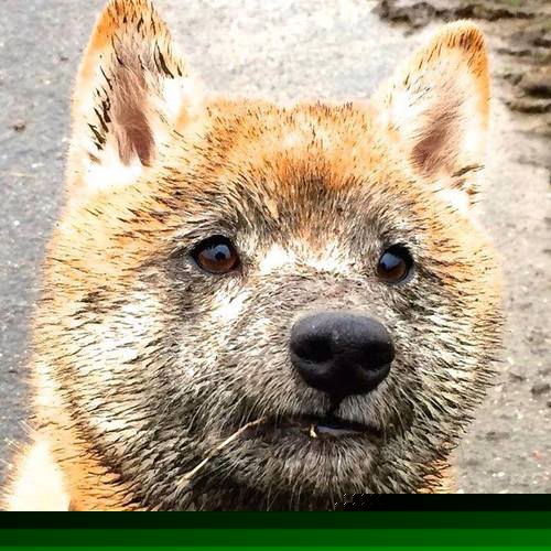 kaiyun体育app-中国女篮加强防守细节，中国女篮加强防守细节的措施