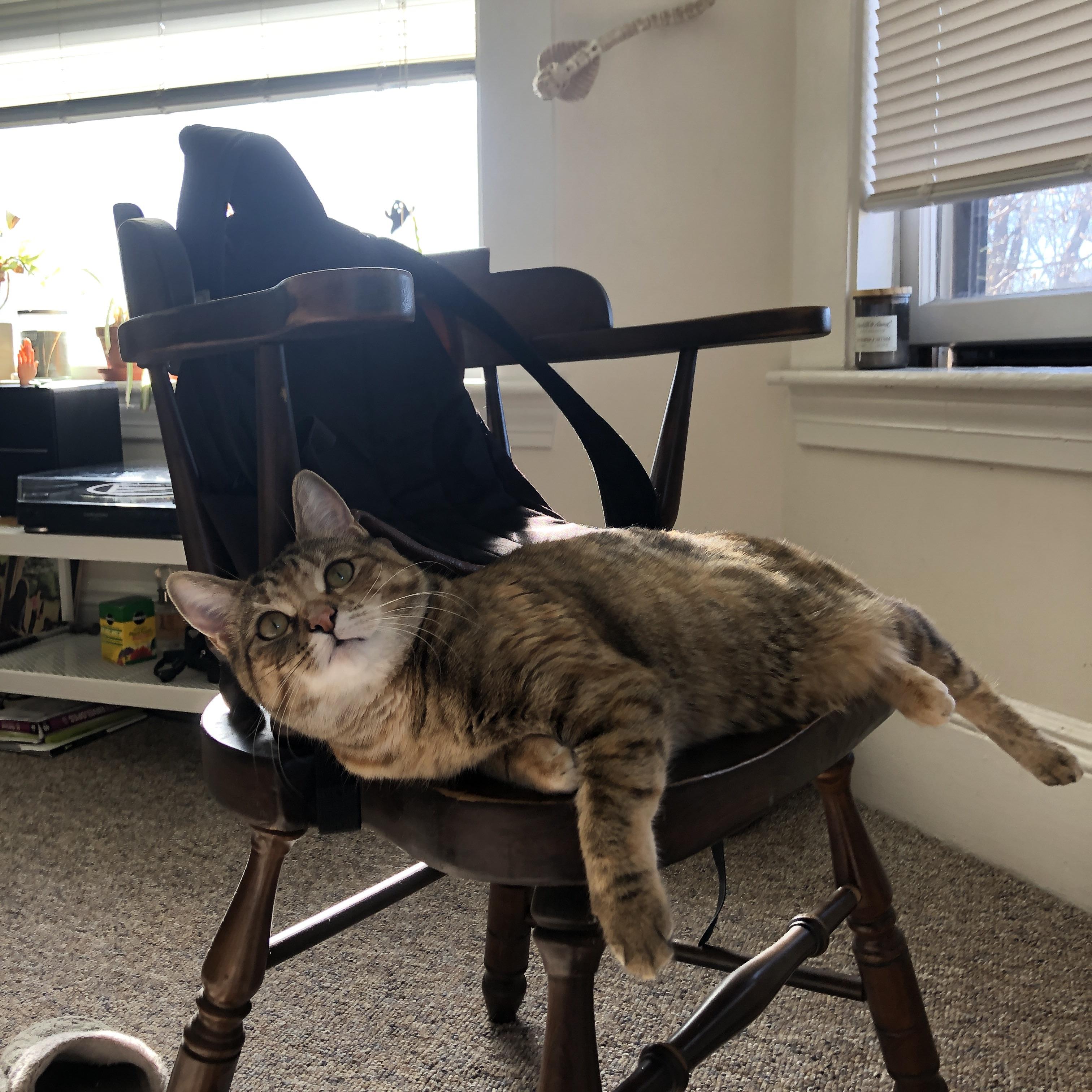 亚洲杯国家队战败 球迷呼吁系统完善,亚洲杯国家队大名单