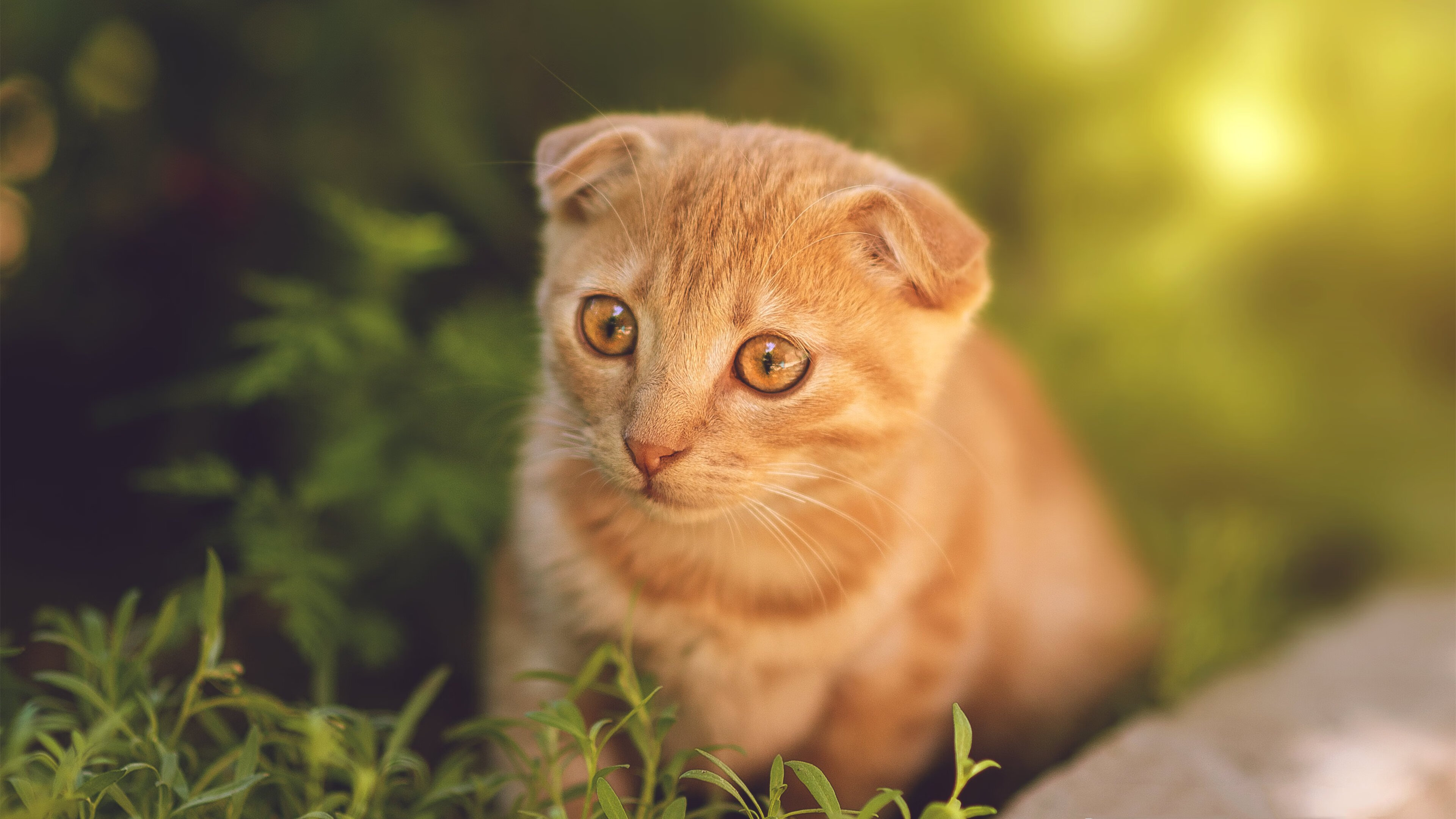 国家队出战亚洲杯 战平结局令人意外,亚洲杯对战名单