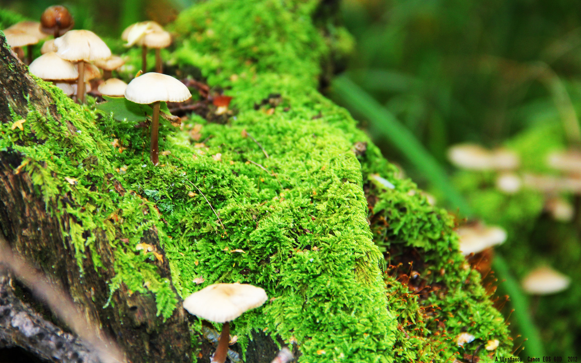 数据背后的真实比赛表现解读,数据背后的真相