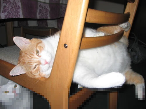 王者荣耀高校联赛火爆校园电竞氛围浓厚,王者荣耀高校联赛赛事介绍