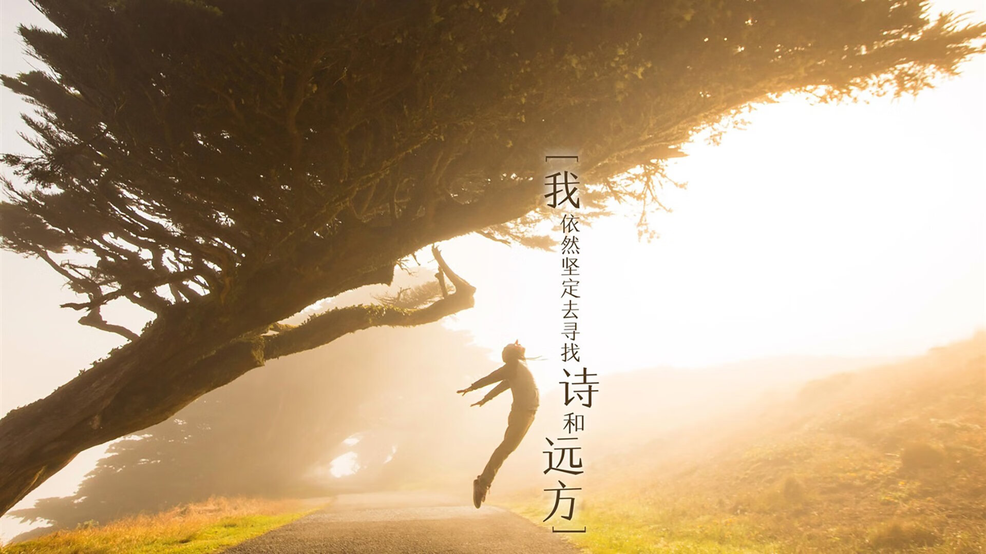 乌拉圭女篮在南美锦标赛中勇夺冠军,彰显强劲实力,乌拉圭蓝球