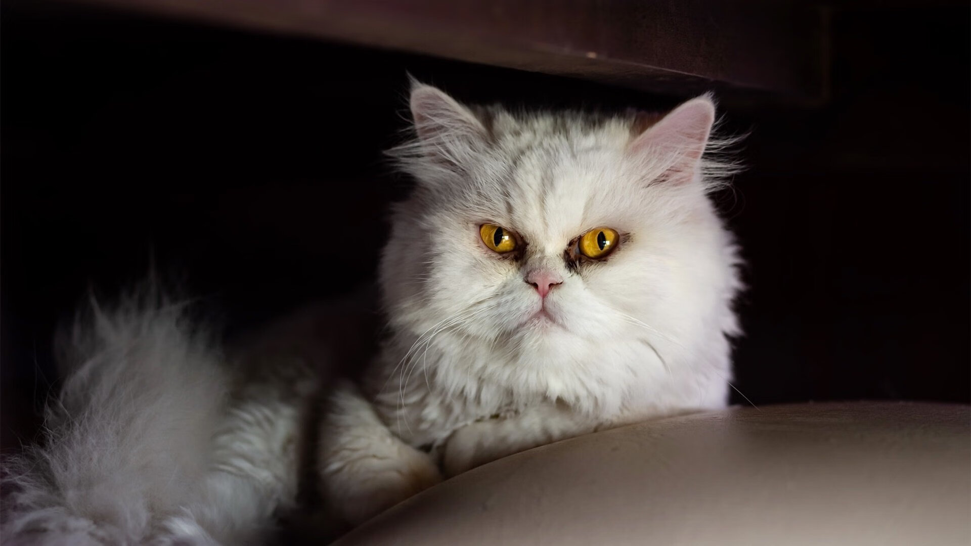 KAIYUNAPP-体育科技创新推动运动发展，体育 创新