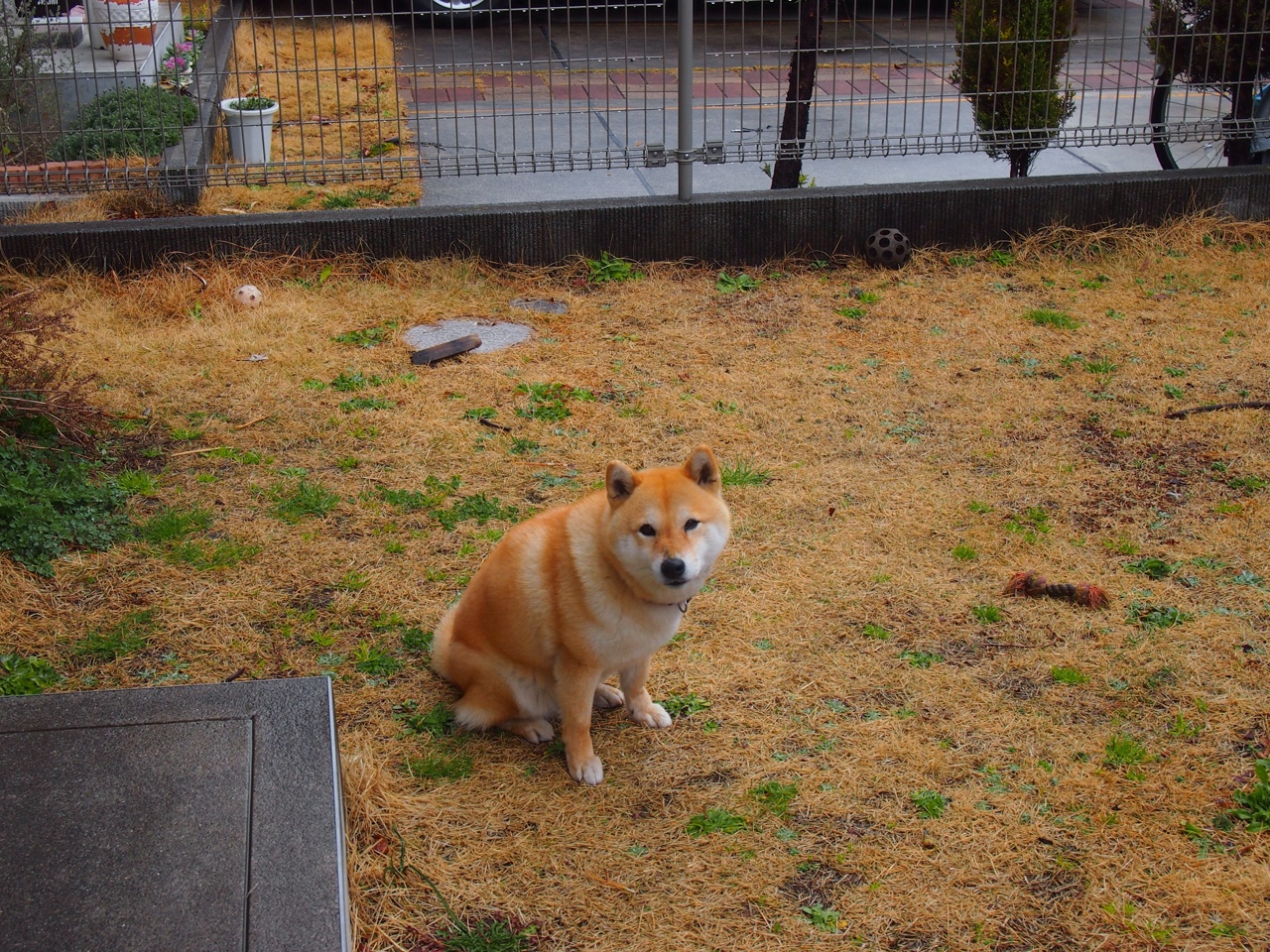 欧洲杯疫情期间的安全保障措施,疫情期间的安全防范措施