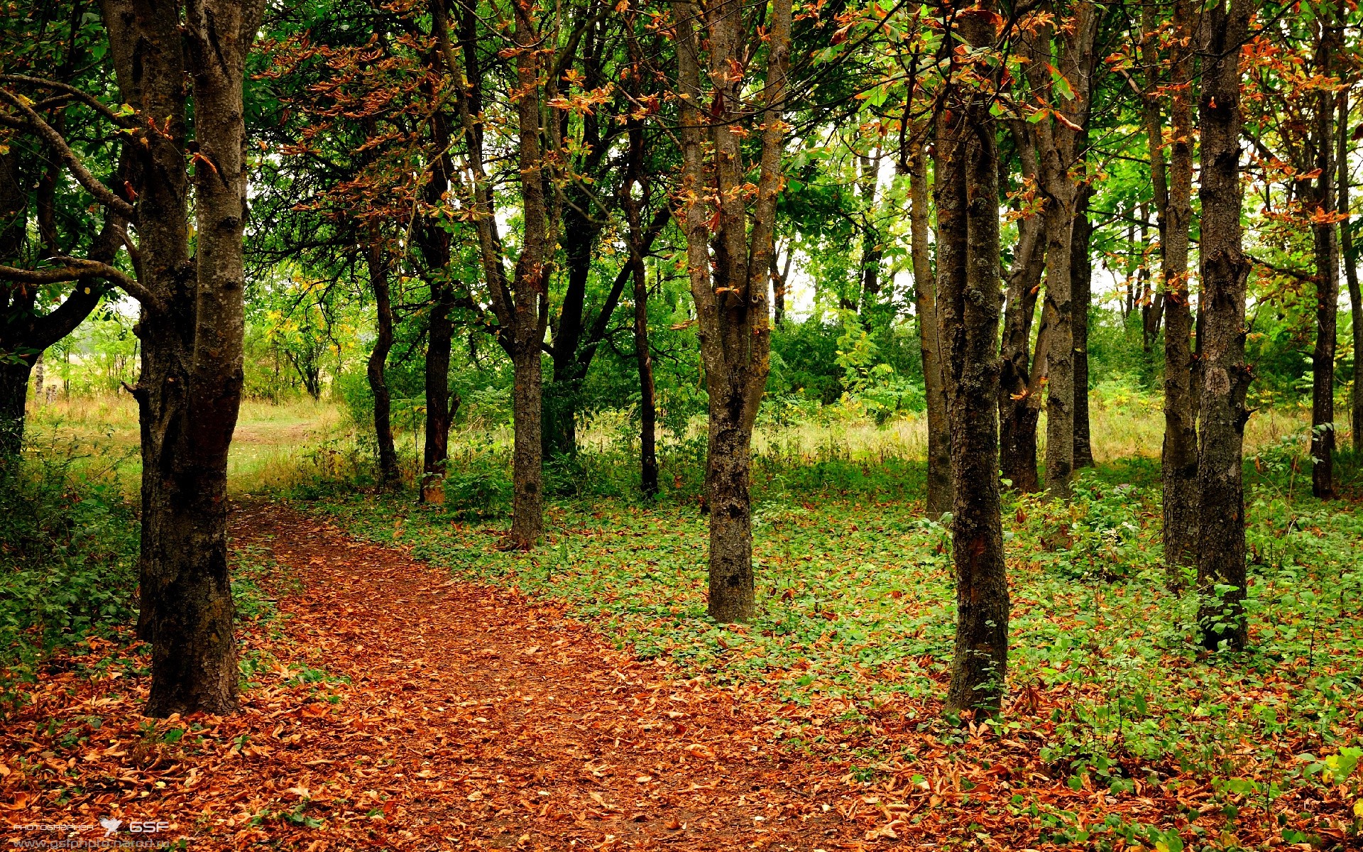 kaiyun官方网站-训练场地翻新完成球员训练积极性高涨表现更为投入，球场翻新方案