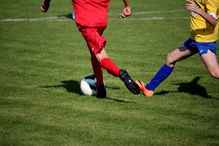 开云体育全站-NBA球员训练计划优化设计，nba运动员训练计划